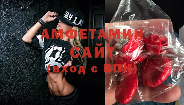 мет Алексин