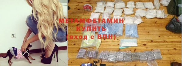 мет Алексин