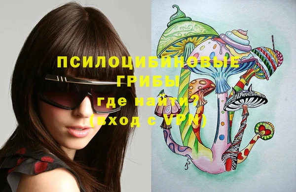 мет Алексин