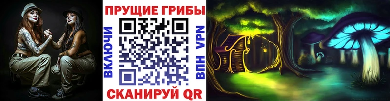 купить сайты Рязань гидра рабочий сайт Псилоцибиновые грибы GOLDEN TEACHER
