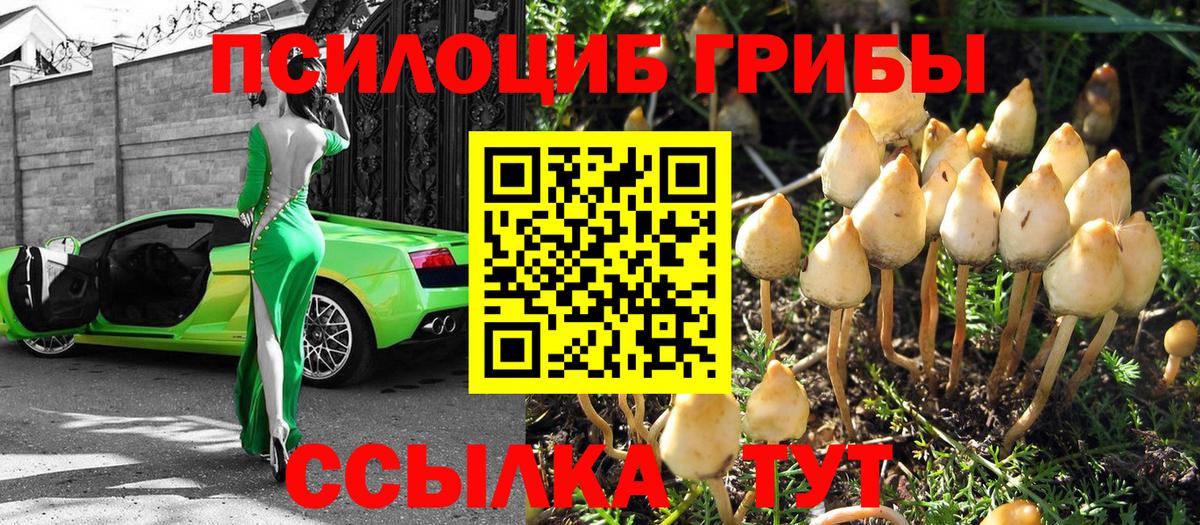 Галлюциногенные грибы Magic Shrooms Рязань