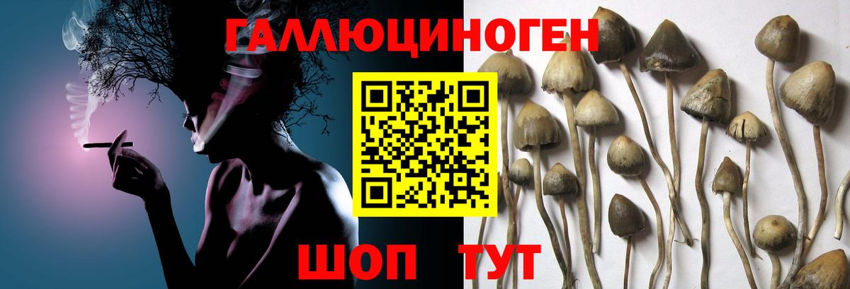 Рязань  Псилоцибиновые грибы Magic Shrooms  Вход с VPN 